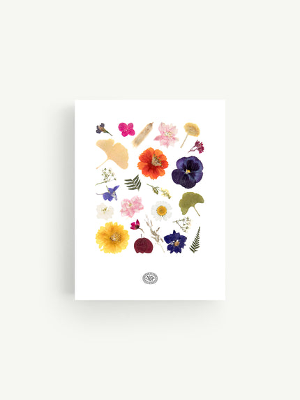 Herbier Isae
