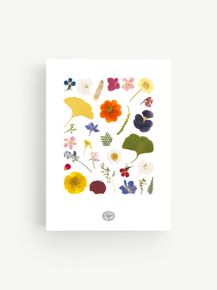 Herbier Isae
