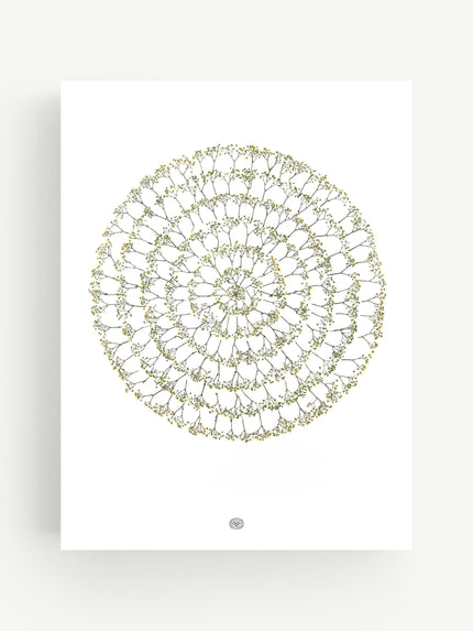 Herbier Achille
