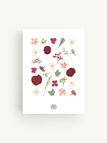 Herbier Pia