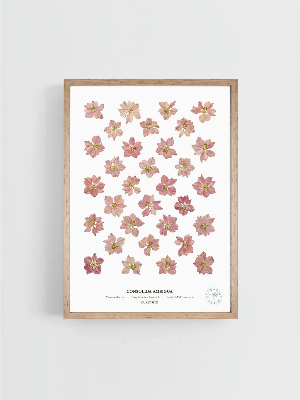 Dauphinelle rose plate