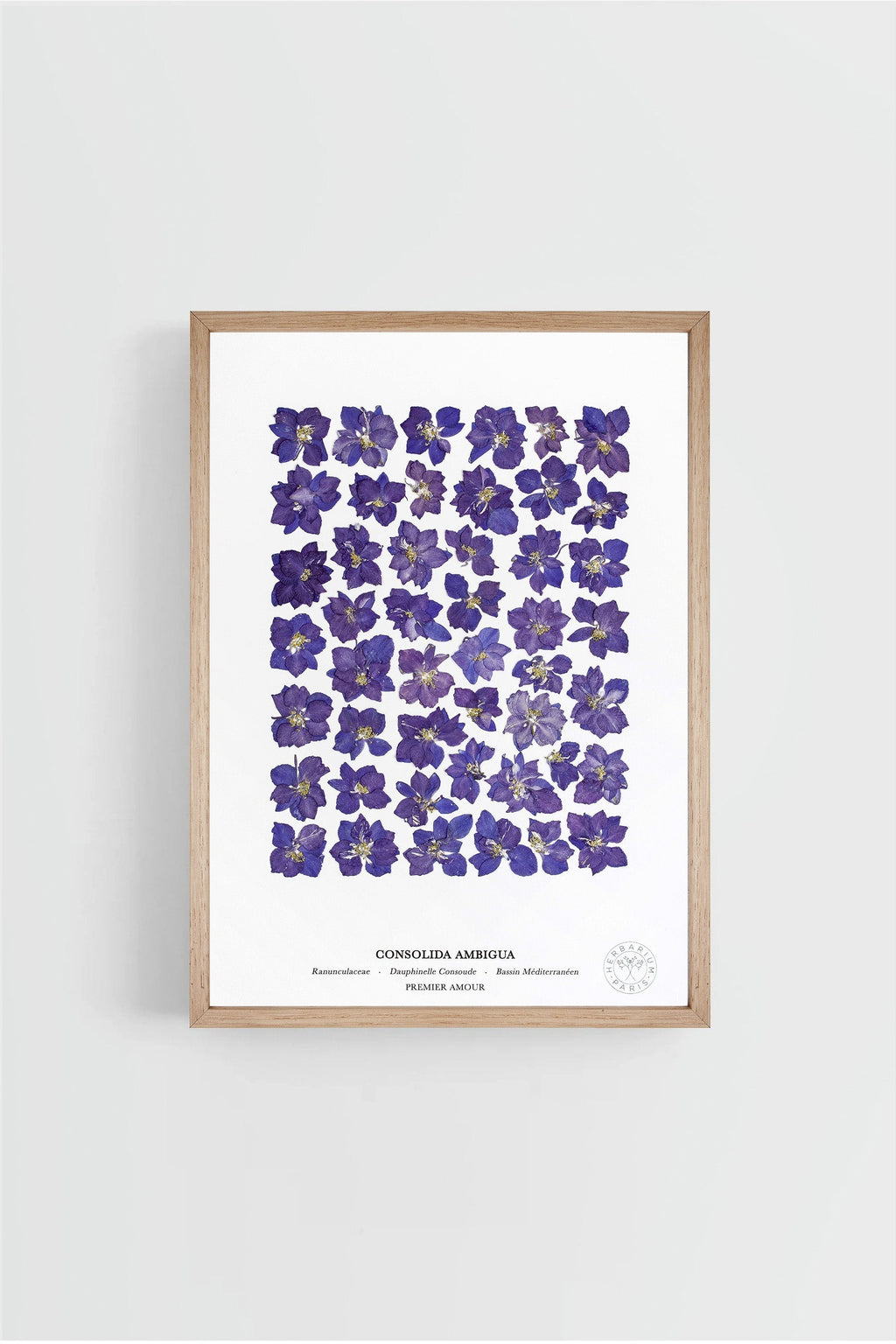 Dauphinelle Violette Plate