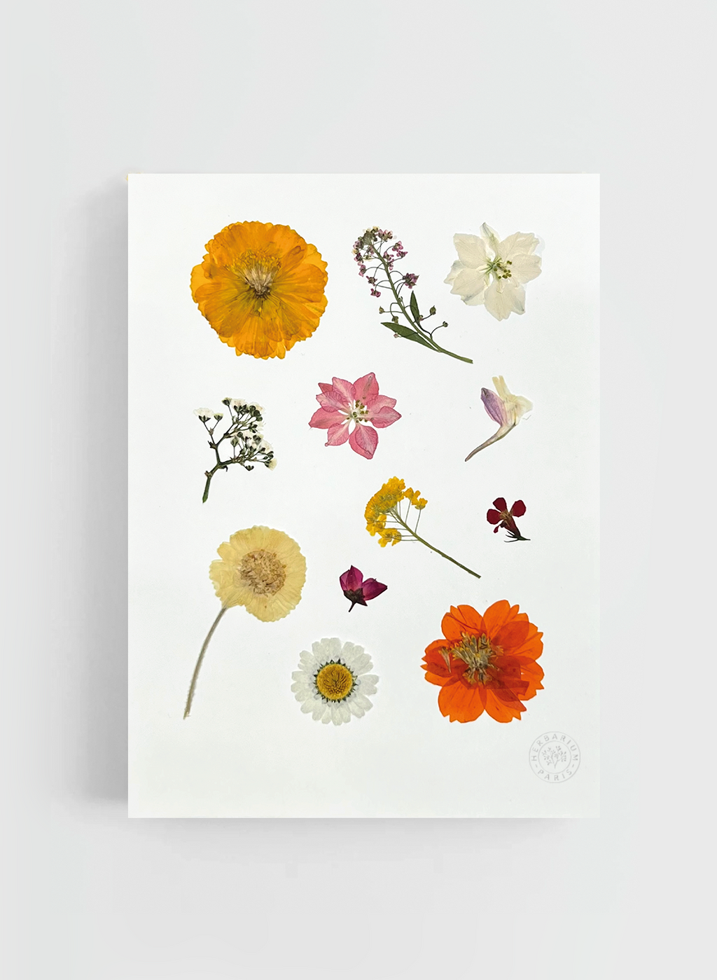 Herbier Izïa