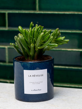 La Rêveuse